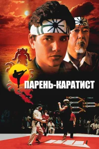 Парень-каратист бесплатно